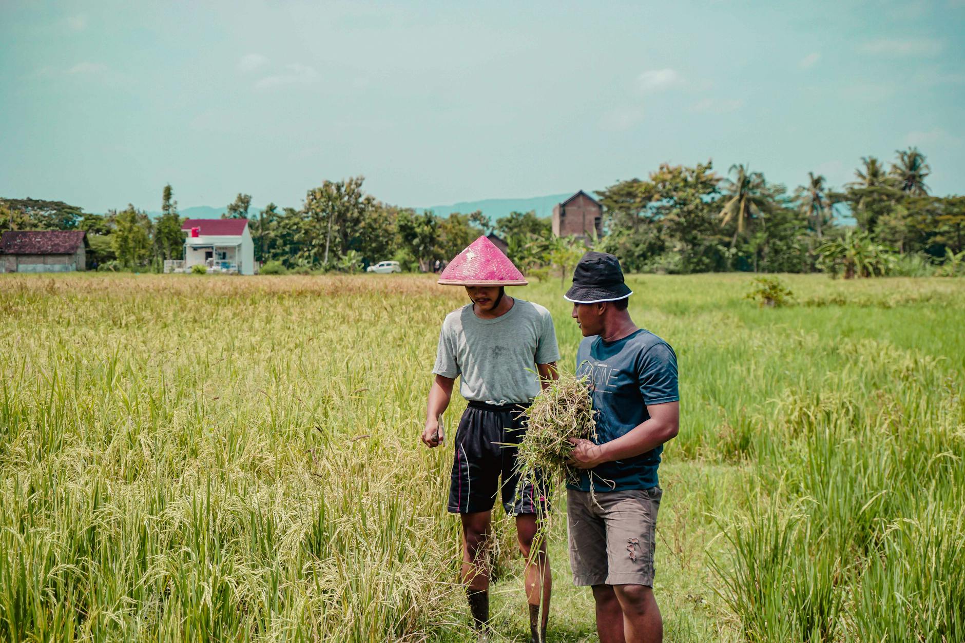 Ilustrasi penerbit saman yang sedang bekerja dengan mesin cetak untuk menghasilkan buku dan dokumen dengan kualitas tinggi