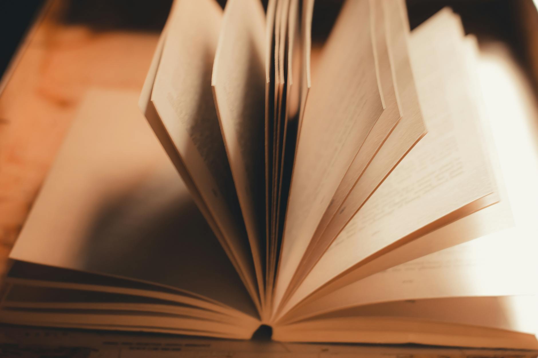 Gambar penerbit novel terjemahan yang menampilkan berbagai judul buku terjemahan populer dari penulis internasional